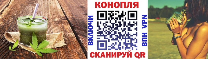 Купить где  Салаир  Cannafood конопля 