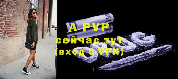 a pvp Белокуриха