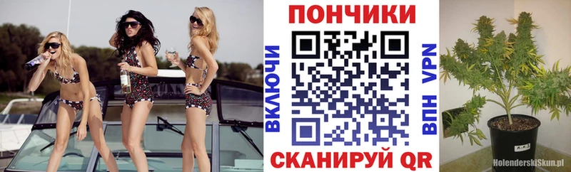 Шишки марихуана THC 21% Салаир