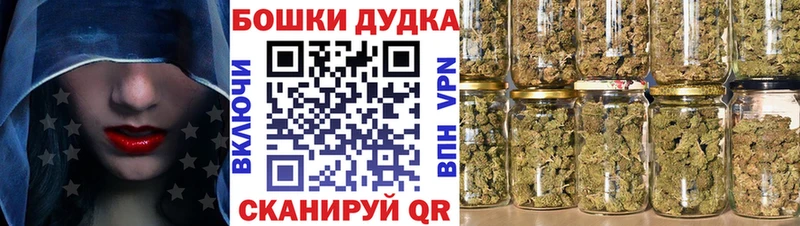 Конопля план  Купить  Салаир 